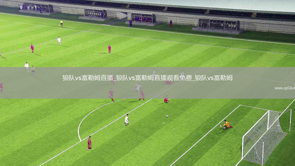 狼队vs富勒姆直播_狼队vs富勒姆直播观看免费_狼队vs富勒姆